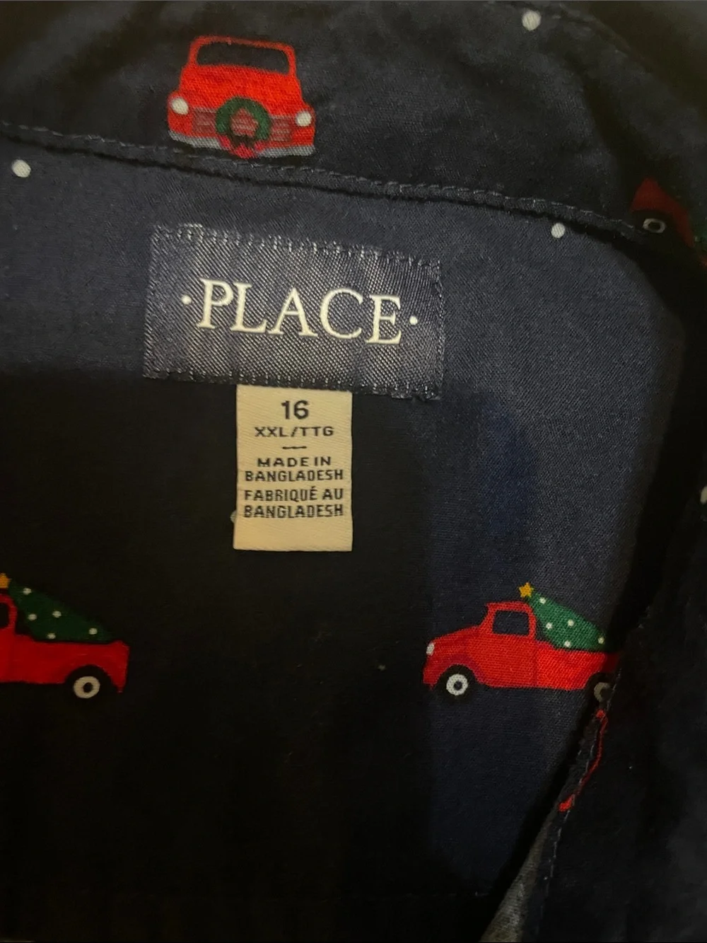 The Children's Place Navy Button-Up Shirt with Red Car Print